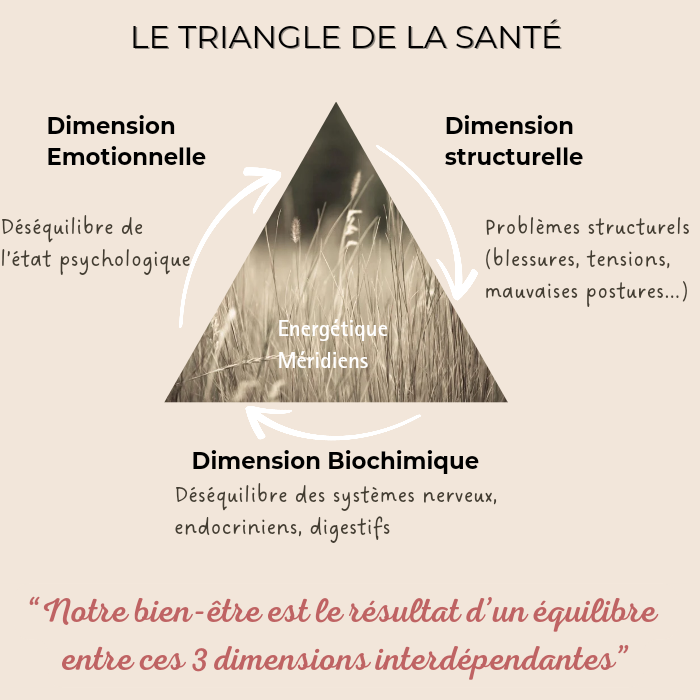 Le triangle de la santé: une approche globale