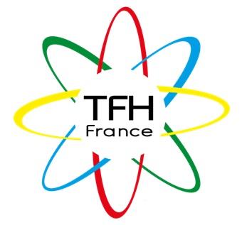 Le Touch For Health: pour rétablir l'équilibre énergétique du corps